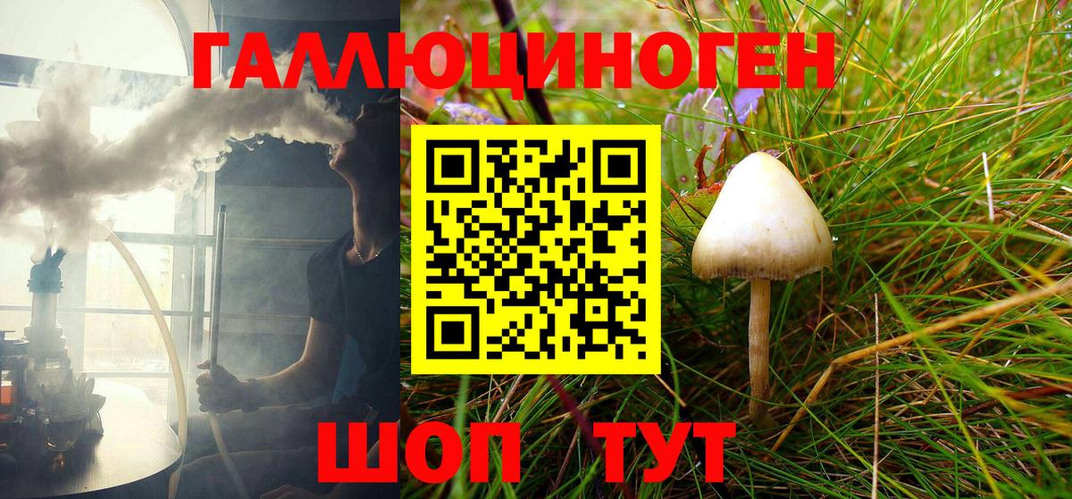 Елабуга  где купить наркоту  Вход с VPN  Галлюциногенные грибы MAGIC MUSHROOMS 