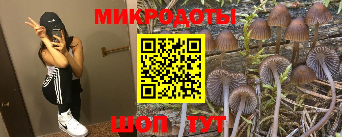 Псилоцибиновые грибы прущие грибы Елабуга